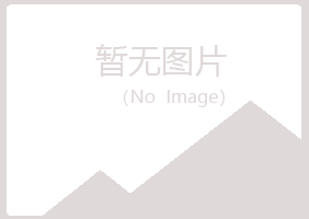 上海初夏音乐有限公司